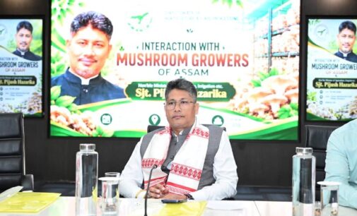 State to establish 2 spawn units and 200 mushroom processing units per district; strict warning issued against DAOs delaying oil palm clearances: Minister Hazarika